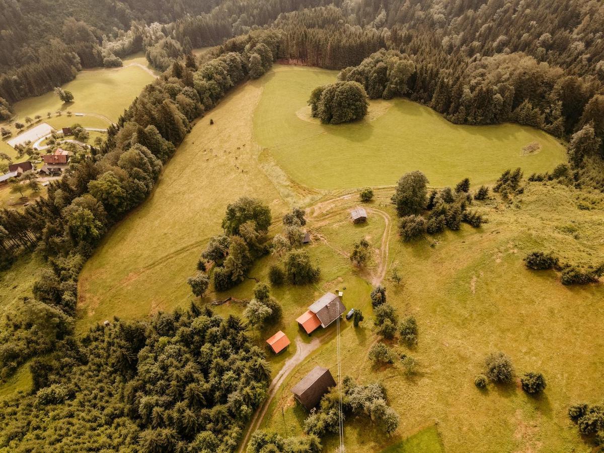 Вилла Almhaus Kochjosel Garanas Экстерьер фото