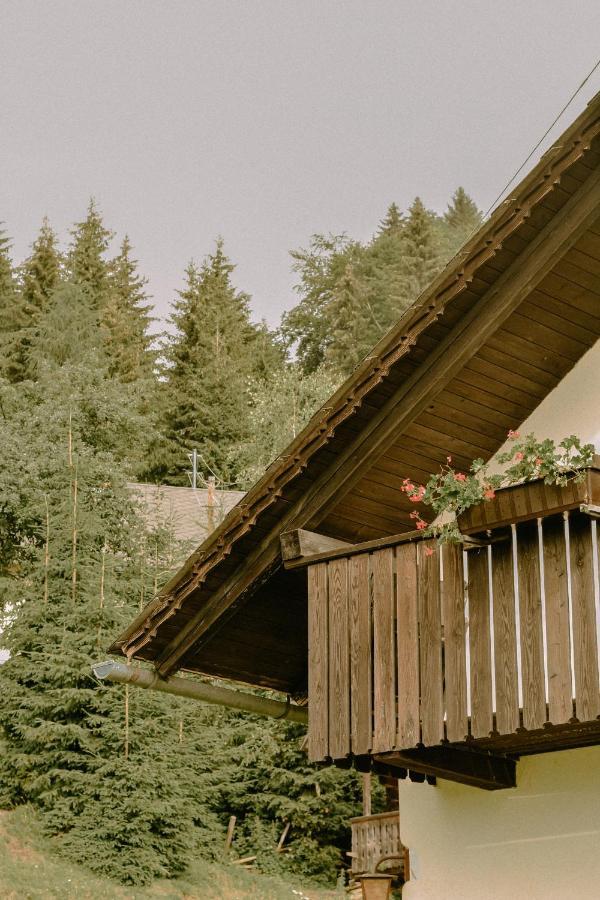 Вилла Almhaus Kochjosel Garanas Экстерьер фото